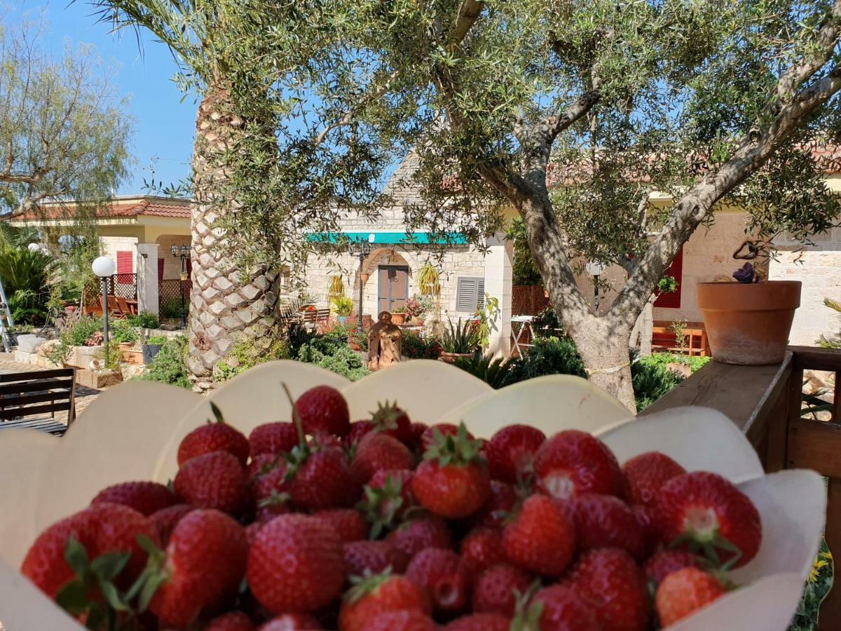 Il Trulletto Bed and Breakfast Impalata Buitenkant foto